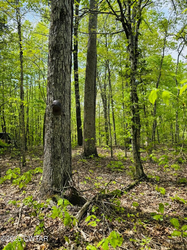 0 Highway 100, Medon, TN 38356 - photo 4