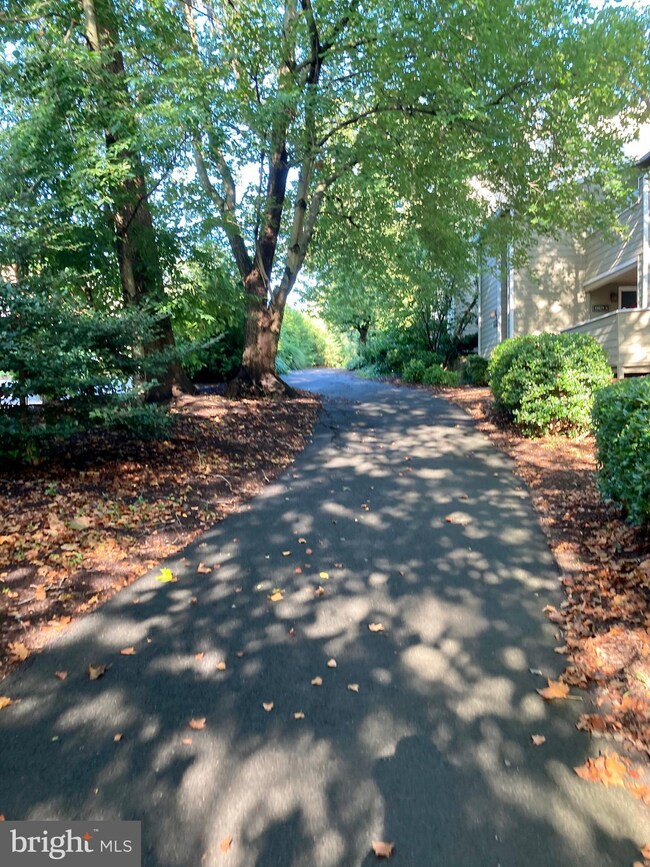 11013B Villaridge Ct unit 1013B, Reston, VA 20191 - photo 4