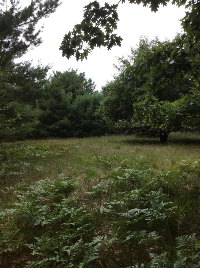 Open area to build