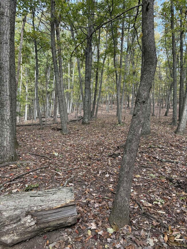 Pine Grove Ch Spur Rd, Vanceburg, KY 41179 - photo 7