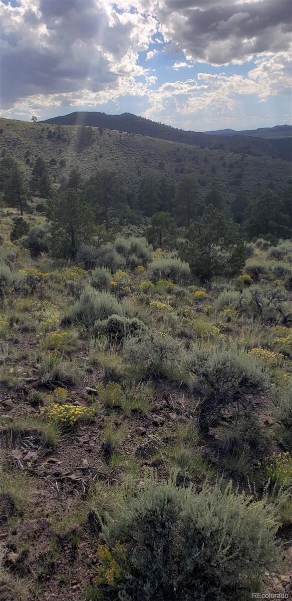 4738 Trudell Rd, Fort Garland, CO 81133 - photo 6