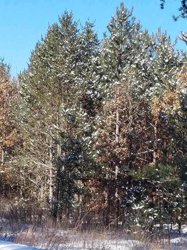 ON Cypress Ave unit Meteor 8313-1, Friendship, WI 53934 - photo 3