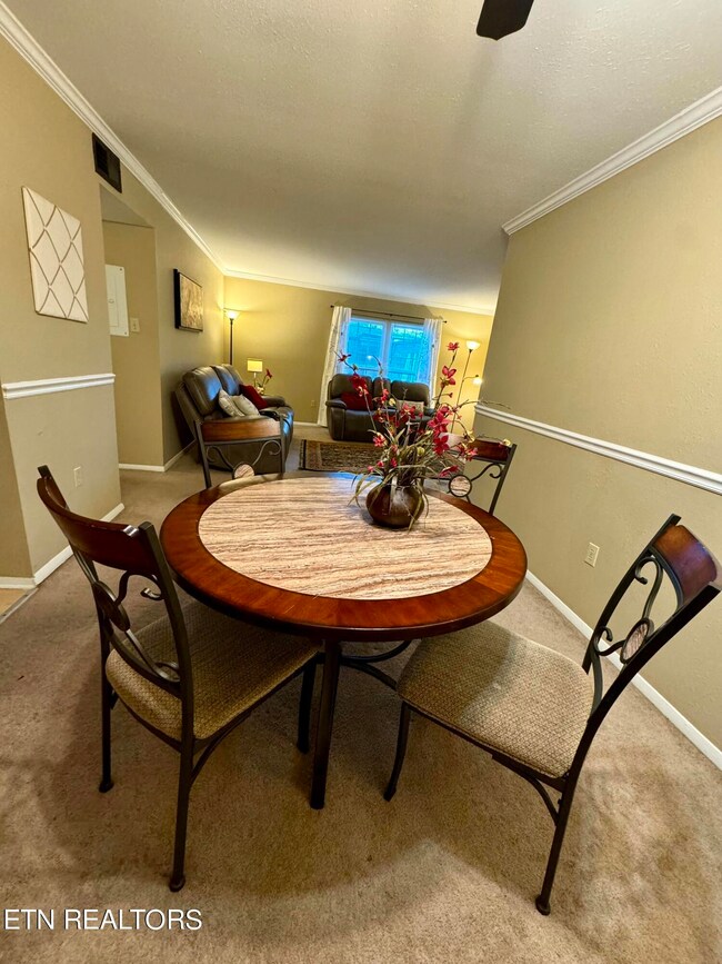 900 Mountain Creek Rd unit S370, Chattanooga, TN 37405 - photo 7