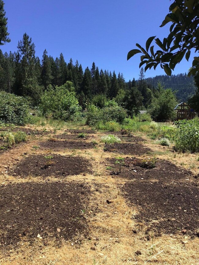 20241004210734868411000000-o