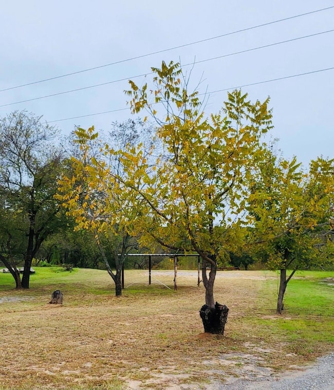 161 River View Ct, Millsap, TX 76066 - photo 2