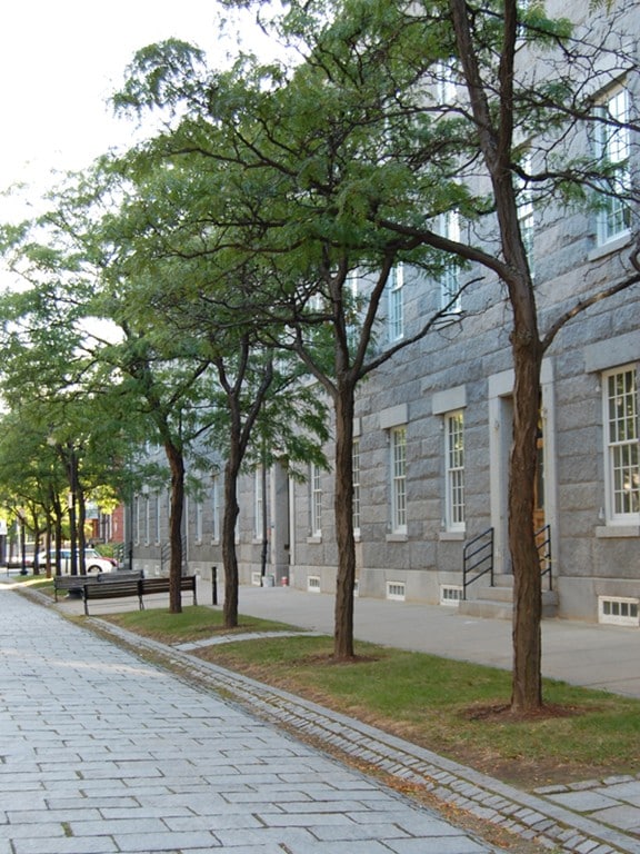 33 3rd Ave unit 216, Charlestown, MA 02129 - photo 6