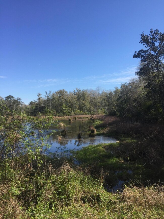 Piney Point Rd and Horseshoe LN