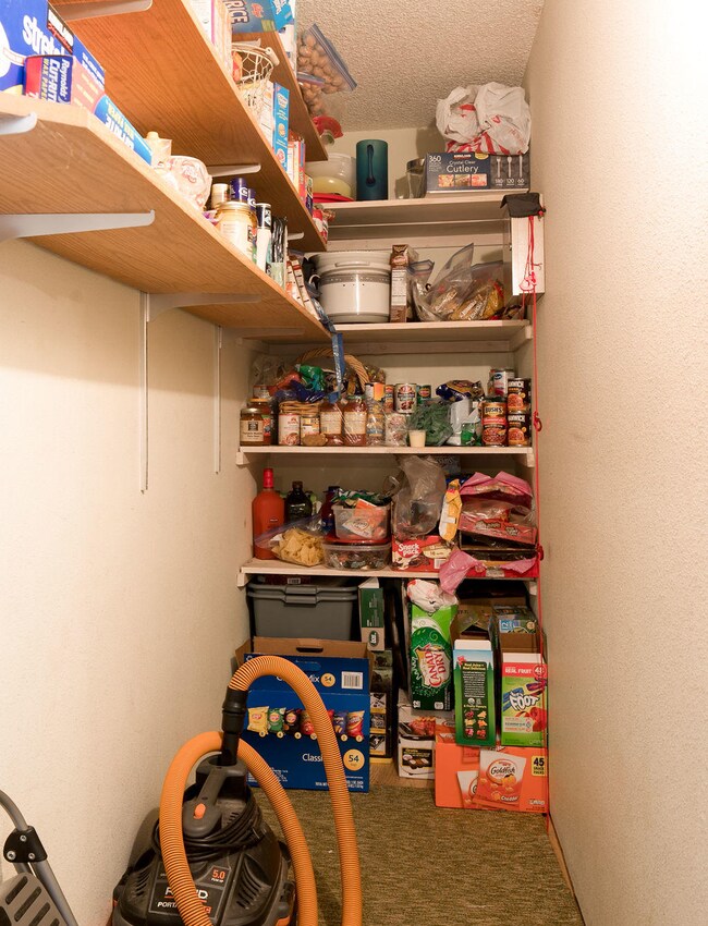 29611 Bluegill Ln, Bigfork, MT 59911 - photo 6