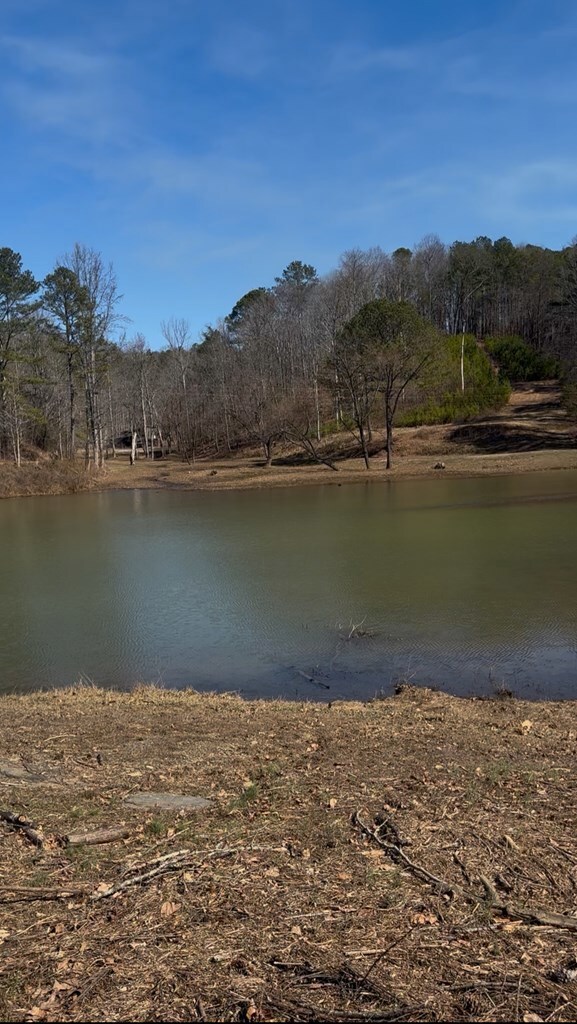 93 Stoney Ledge Rd, Fairmount, GA 30139 - photo 3