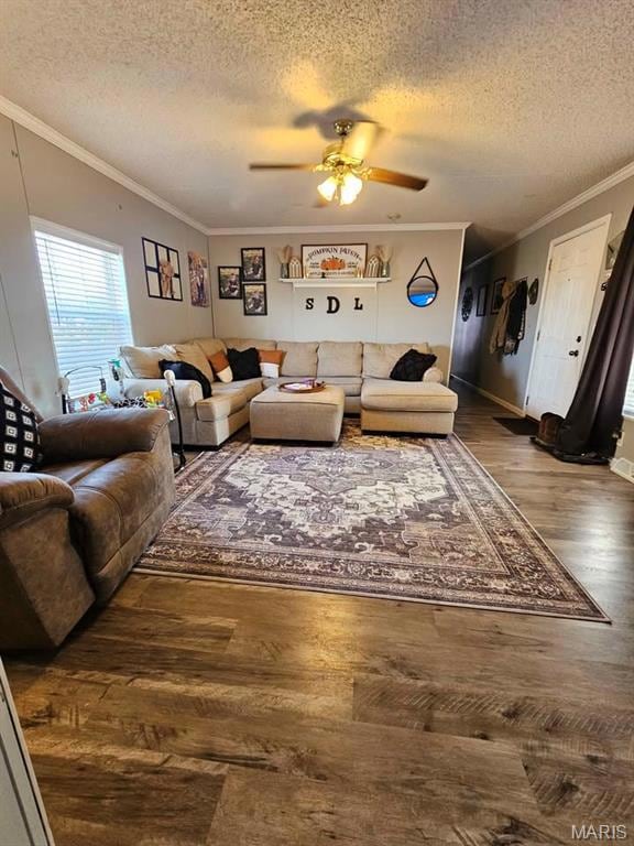 30678 Missouri 25, Clarkton, MO 63837 - photo 3