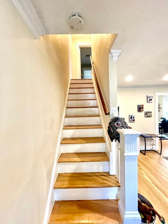 24 Potomac St unit 24, West Roxbury, MA 02132 - photo 6