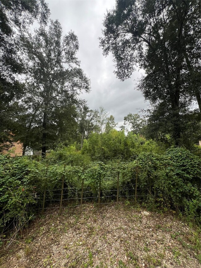 25688 York, New Caney, TX 77357 - photo 5