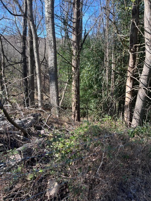 0 McCord (Cr 40) Rd, Elkins, AR 72727 - photo 4