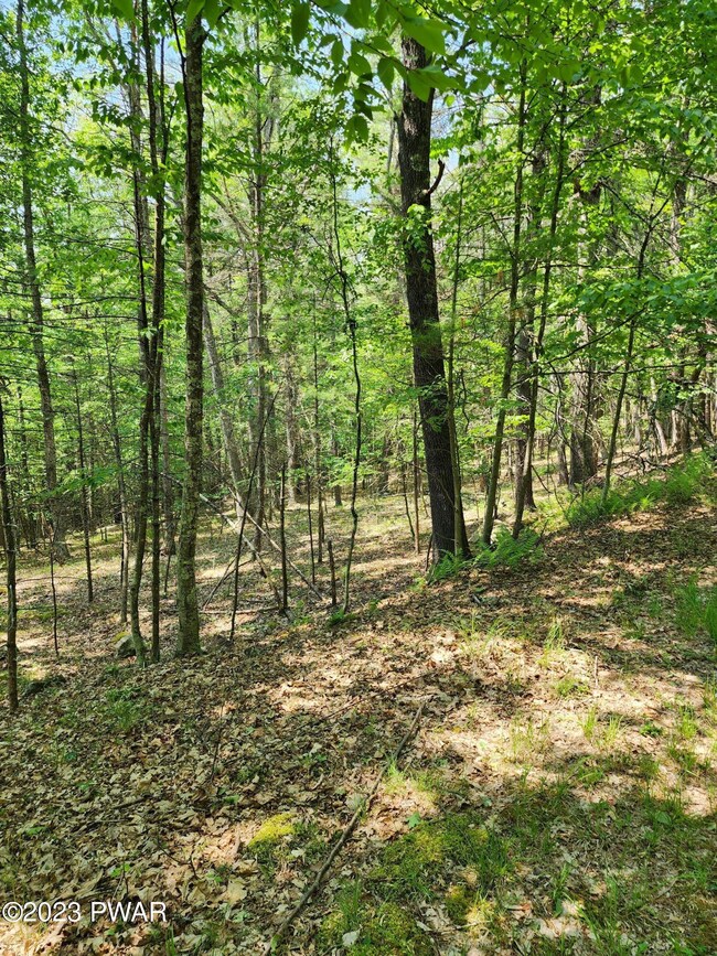 0 Lots 387 & 388 Creek Ct unit PWBPW231745, Hawley, PA 18428 - photo 7