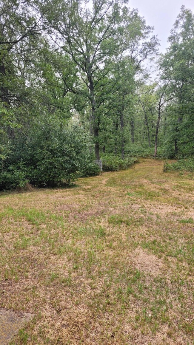 9413 N Northwoods Trail, Brohman, MI 49312 - photo 5