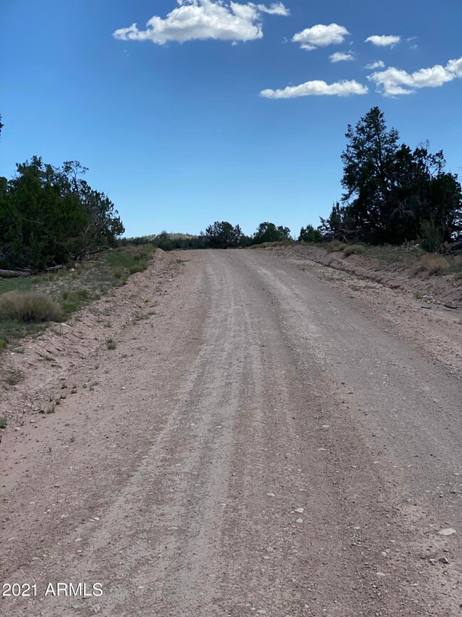 00 Markham Pass unit 1315, Seligman, AZ 86337 - photo 7