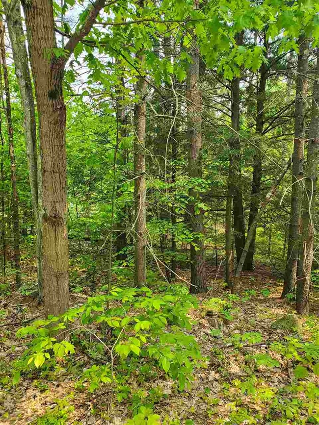 45 Clough Pond Rd, Loudon, NH 03307 - photo 3