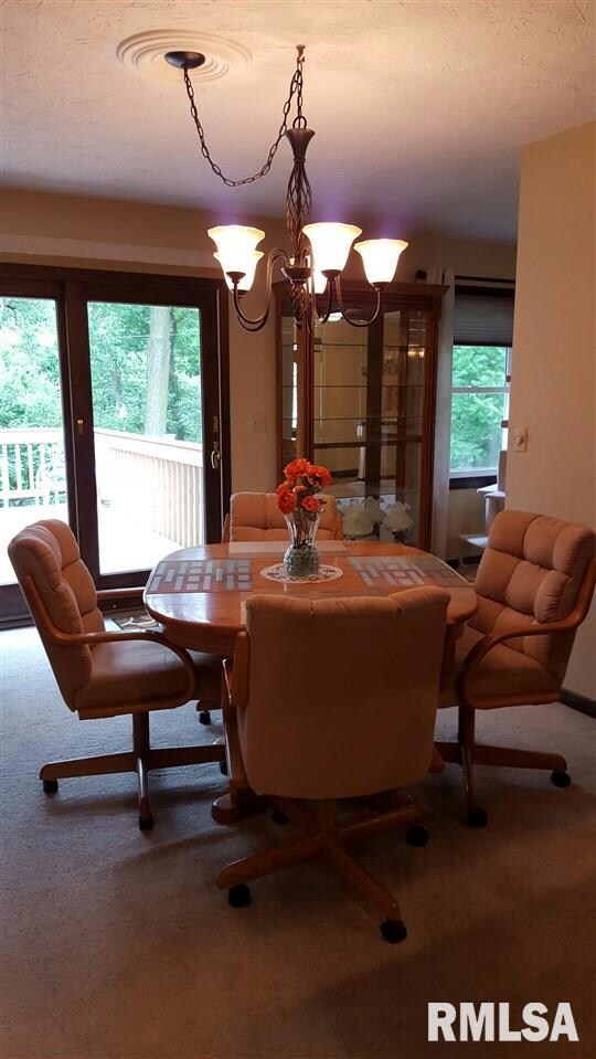 38 Crestview Dr, Geneseo, IL 61254 - photo 6