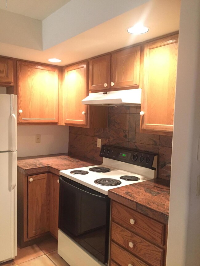 3615 N Wilson Ave, Tucson, AZ 85719 - photo 5