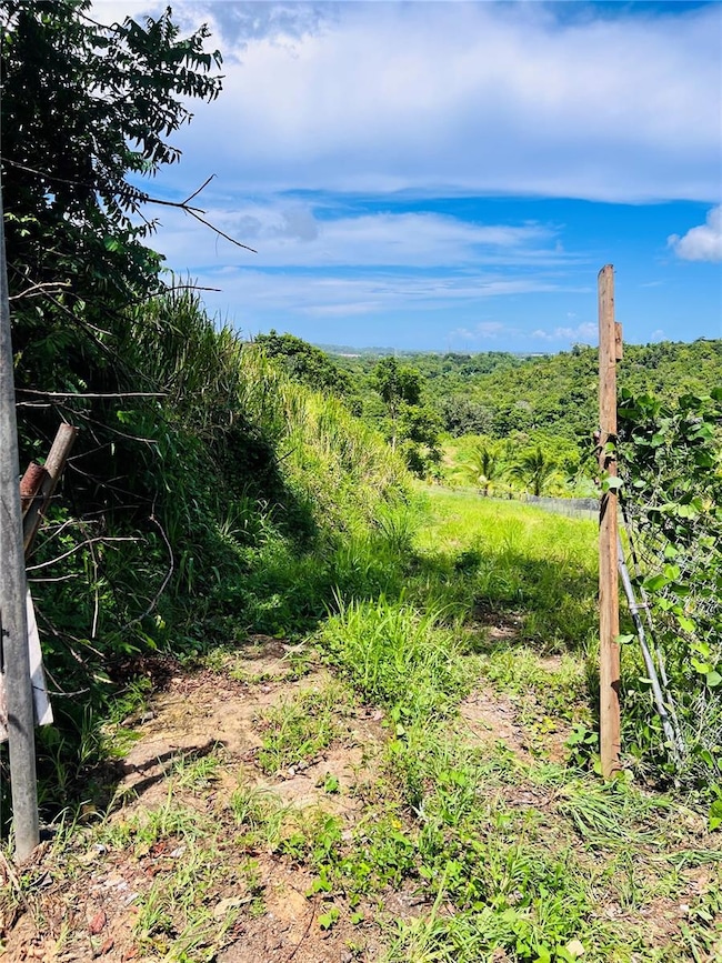 857 Carretera, Carolina, PR 00987 - photo 6