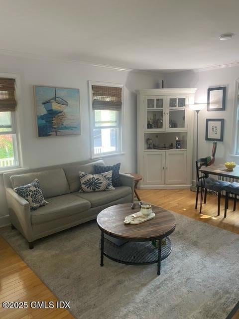 129 Halstead 1 living room 2022