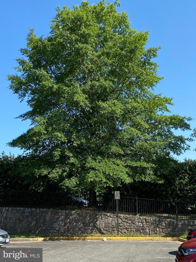 8938 Milford Haven Ct unit B, Lorton, VA 22079 - photo 3