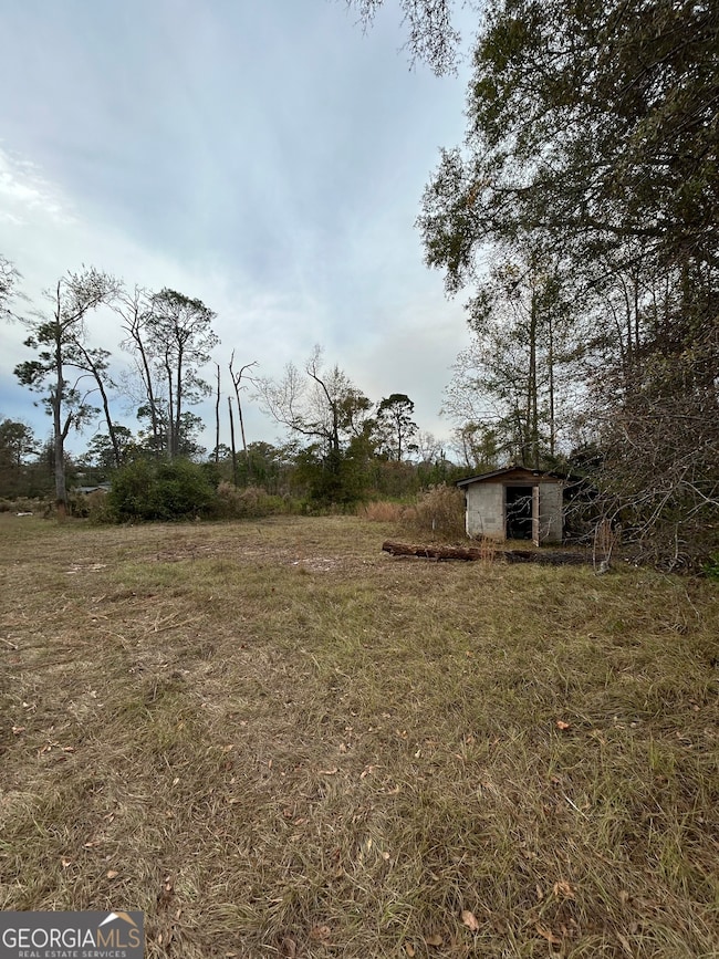 0 Center Ave, McRae, GA 31055 - photo 4