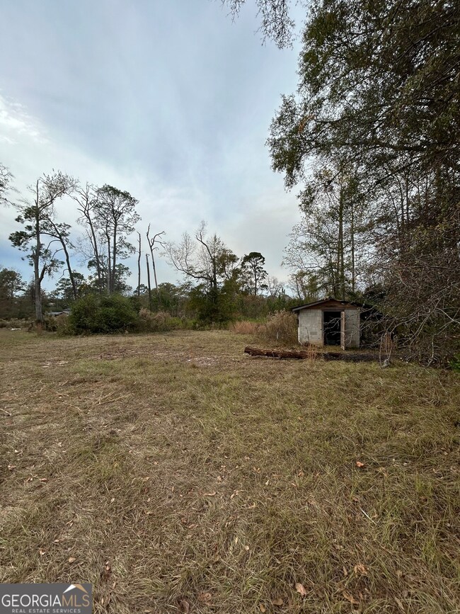 0 Center Ave unit 10648464, McRae, GA 31055 - photo 4