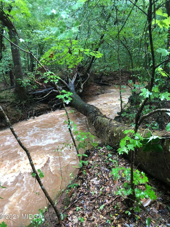 Lot 13 Jenkins Rd, Forsyth, GA 31029 - photo 2