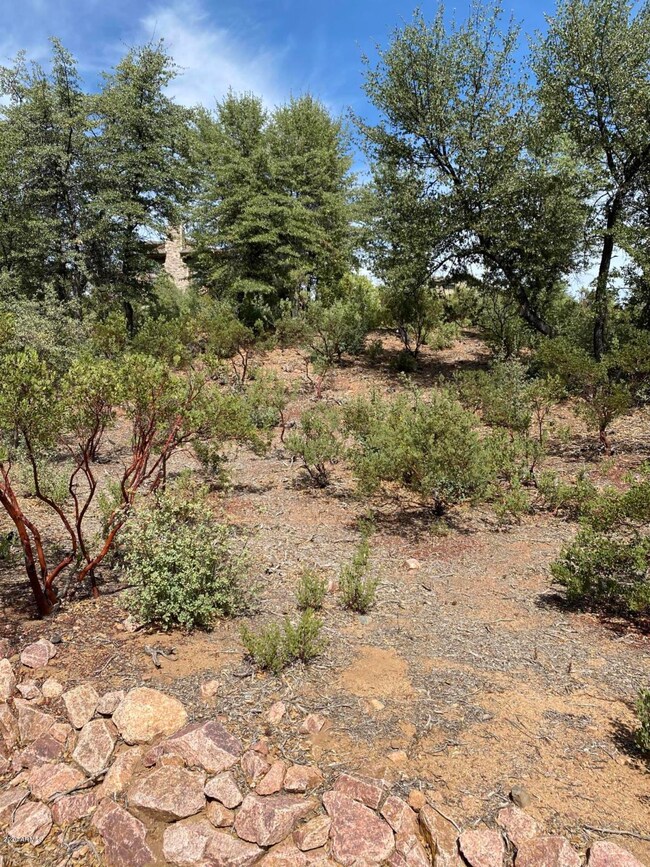 2808 E Coyote Mint Cir unit 54, Payson, AZ 85541 - photo 3