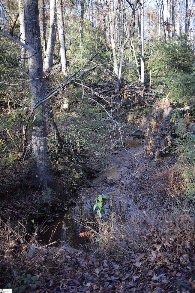 5231 Highway 11, Inman, SC 29349 - photo 3