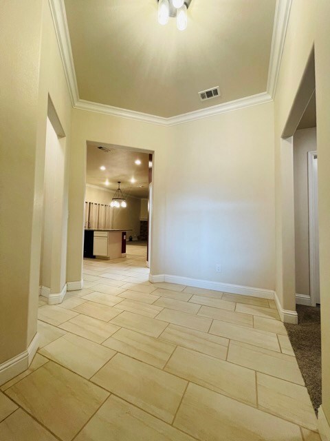 9319 Bee Balm Ave, Odessa, TX 79765 - photo 4