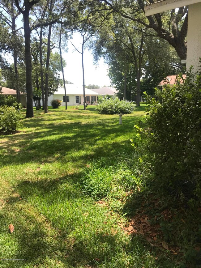 6358 Ocean Pines Ln, Spring Hill, FL 34606 - photo 4