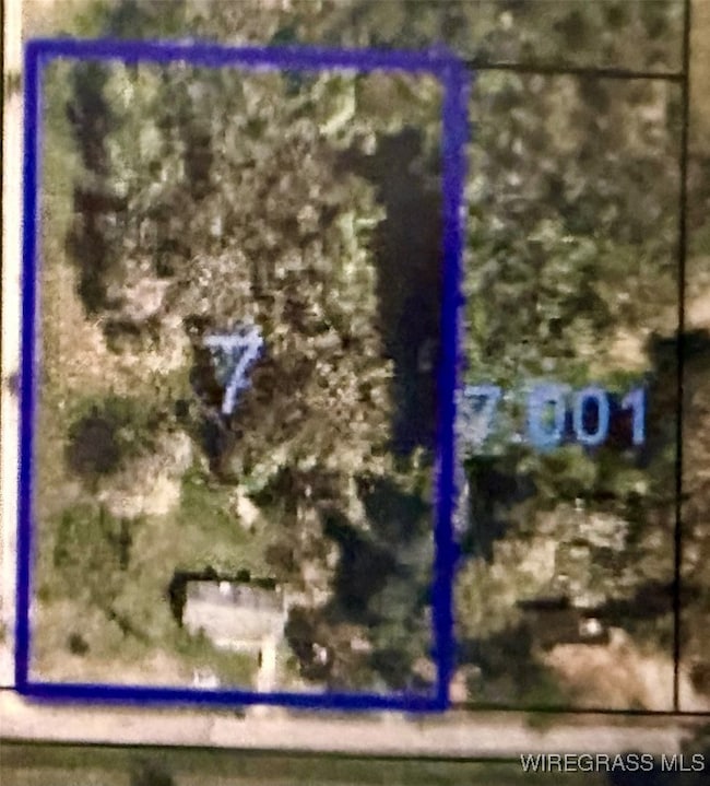 1499 E Neva Drive In Rd, Geneva, AL 36340 - photo 6