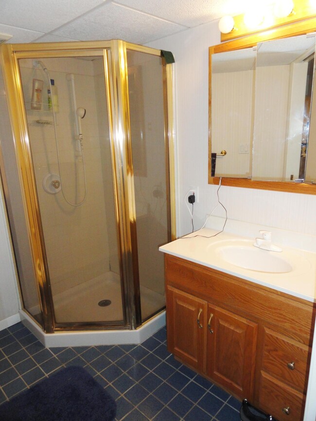 Lower Level Bathroom