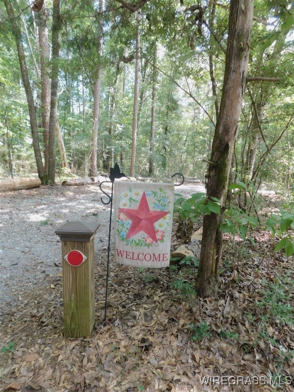 25278 Hidden Forest Ln, Andalusia, AL 36421 - photo 6