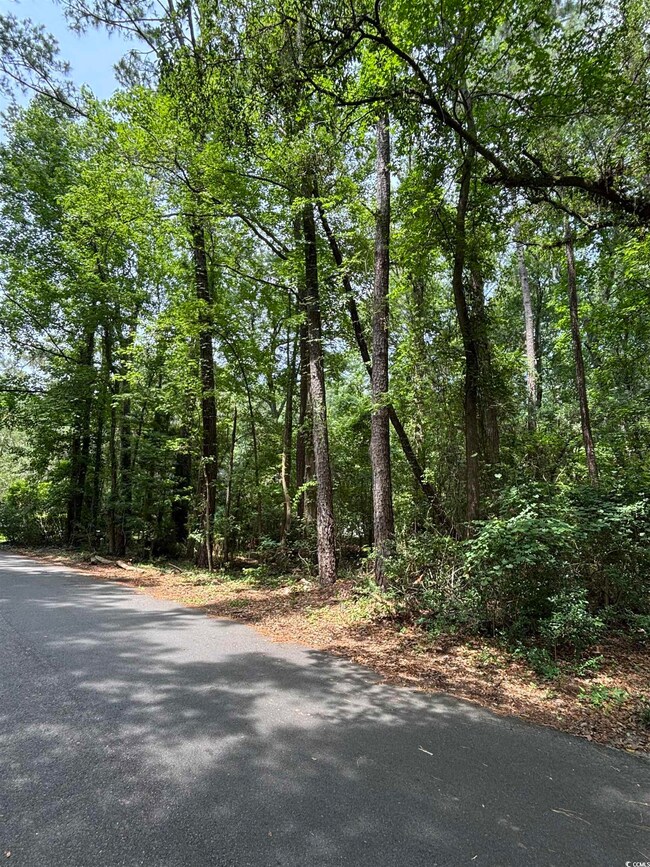 View of asphalt road featuring a view of trees