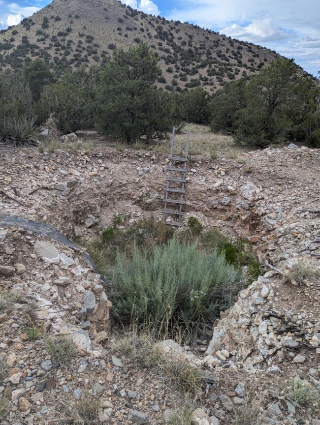 0 Ortiz Mine Grant unit 202503726, Cerrillos, NM 87010 - photo 3