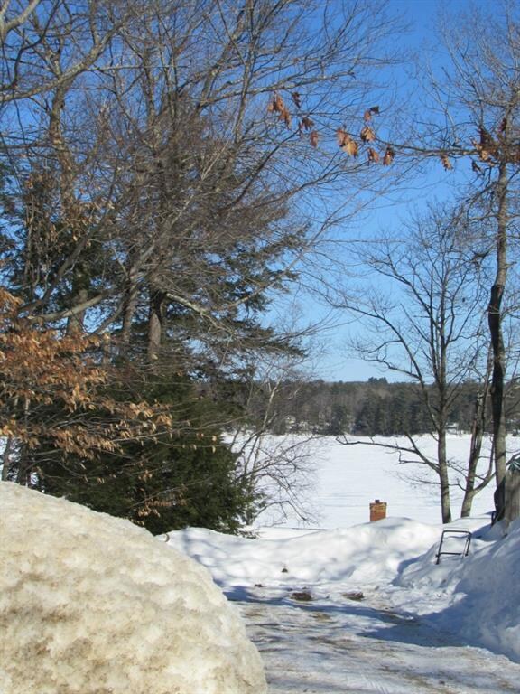 Views of the lake from the property.