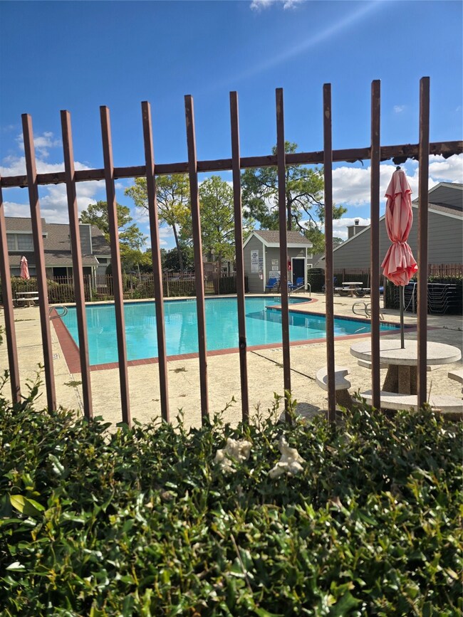 6347 Cattails Ln unit 63, Houston, TX 77035 - photo 4