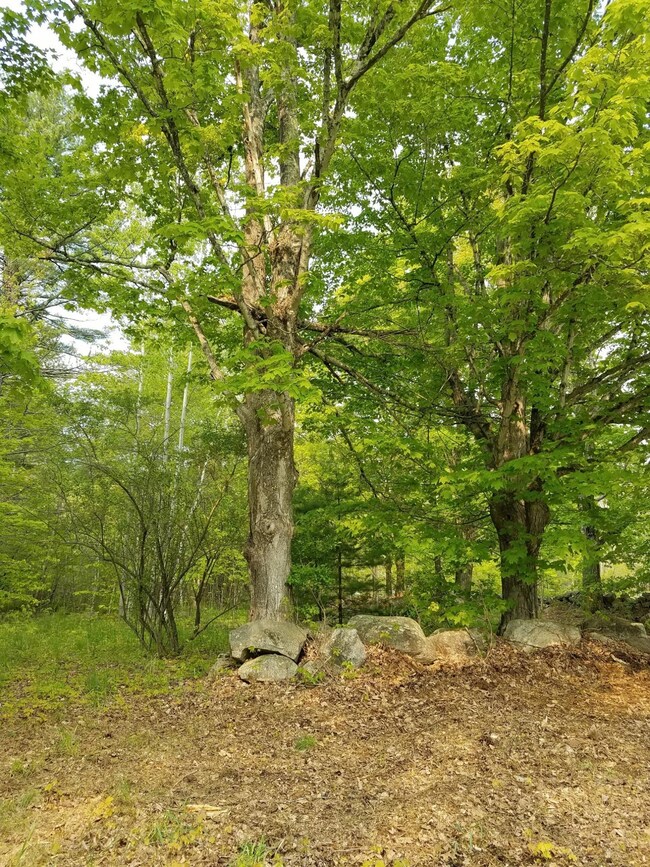 54 Old Elm Rd, Bridgton, ME 04009 - photo 4