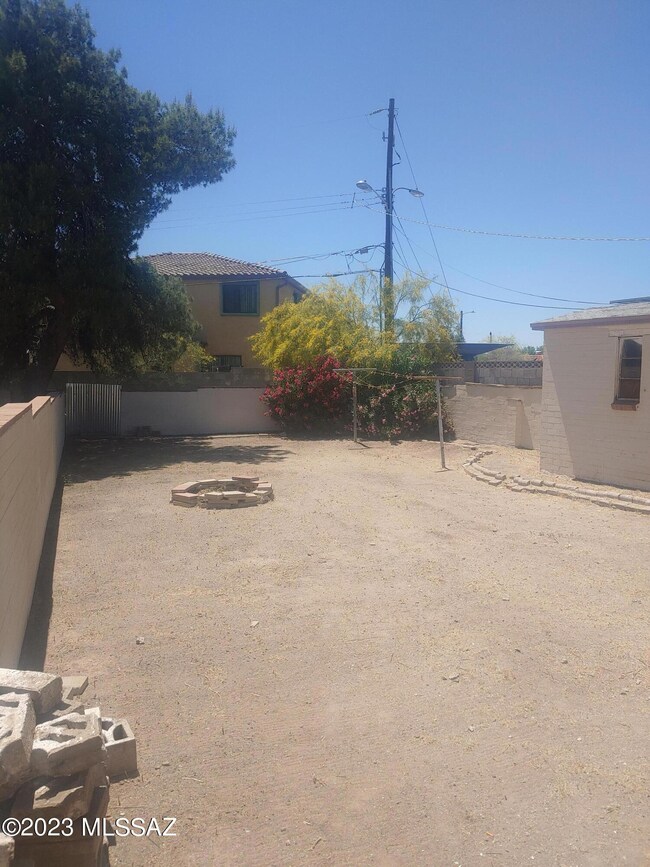 Backyard 3