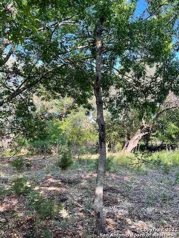 26026 Goldfinch Trail, San Antonio, TX 78255 - photo 7