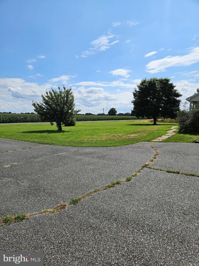 571 Mulberrie Point Rd, Frederica, DE 19946 - photo 5