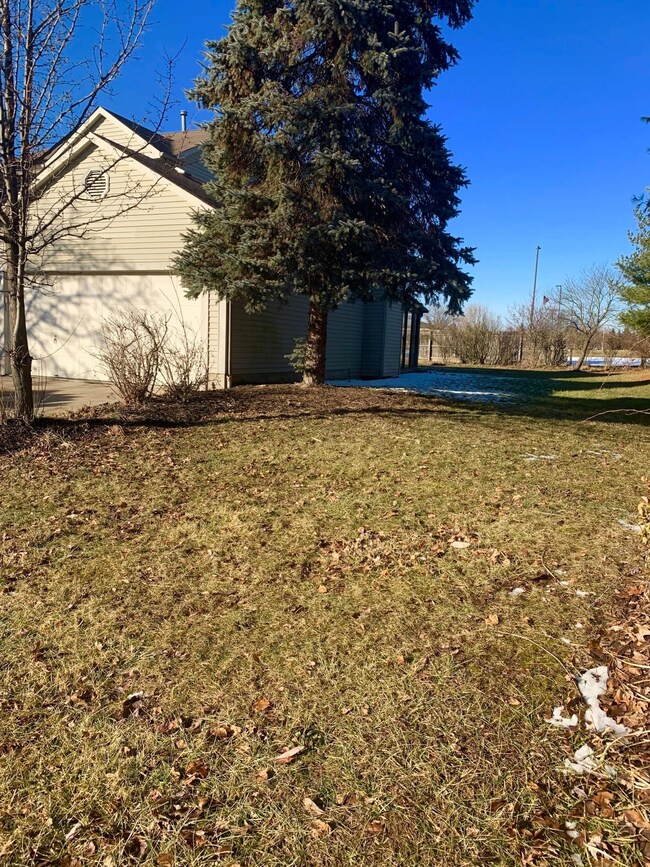 Side Yard