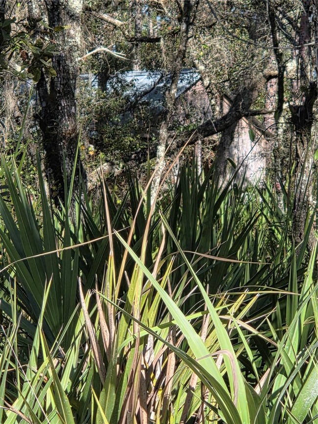 1351 R E Byrd Rd, Frostproof, FL 33843 - photo 7