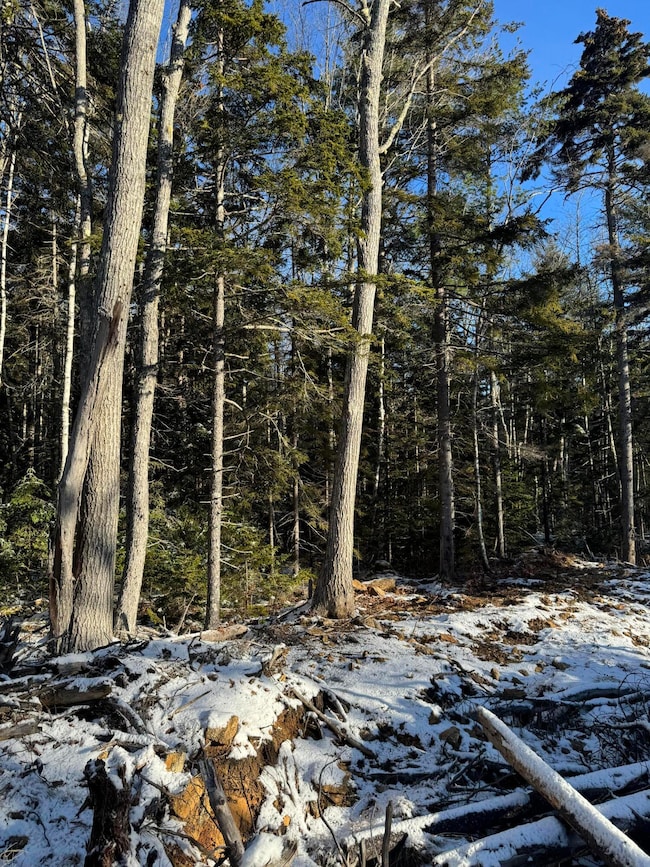 Map 004 Lot 089-03, Bristol, ME 04558 - photo 2