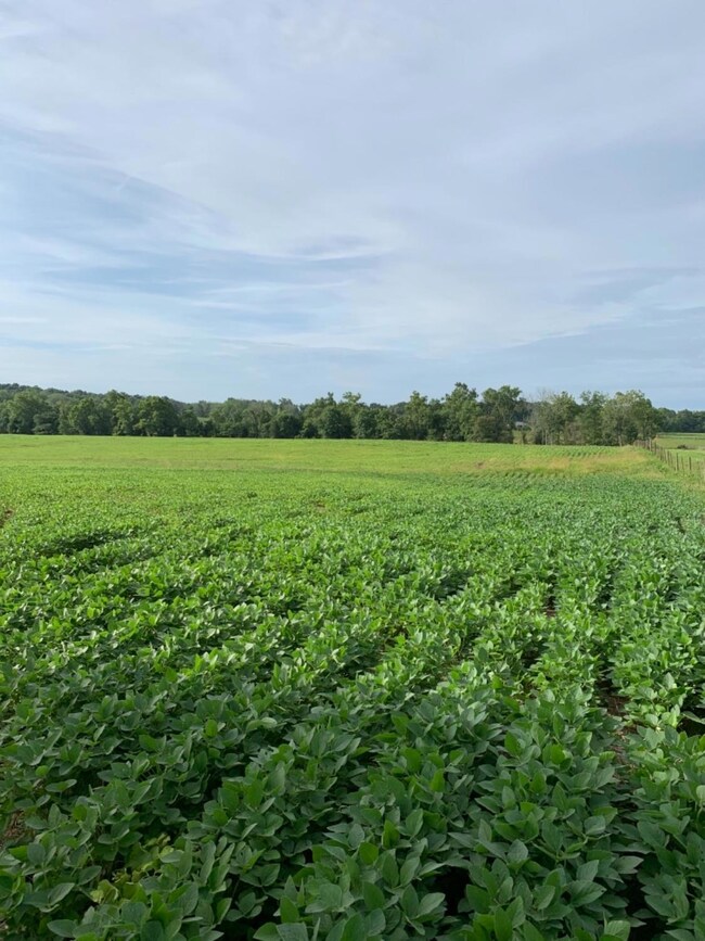 0 Luther Rogers Rd unit 1654849, Tiffin Township, OH 45693 - photo 2