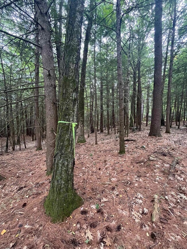 00 Skyline Dr, Vernon, VT 05354 - photo 4