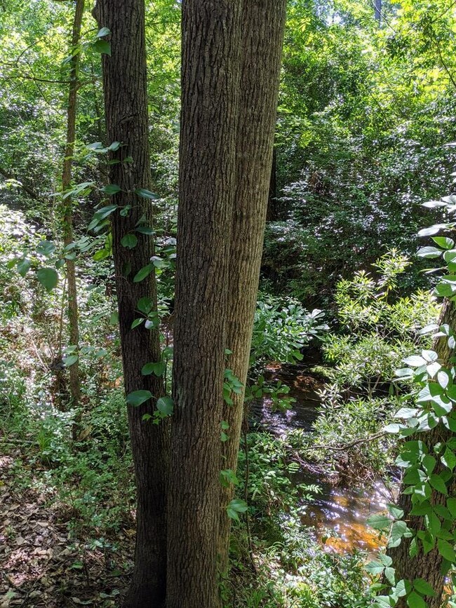 3214 W Wimbledon Dr, Augusta, GA 30909 - photo 3